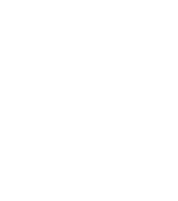 Yolo Group